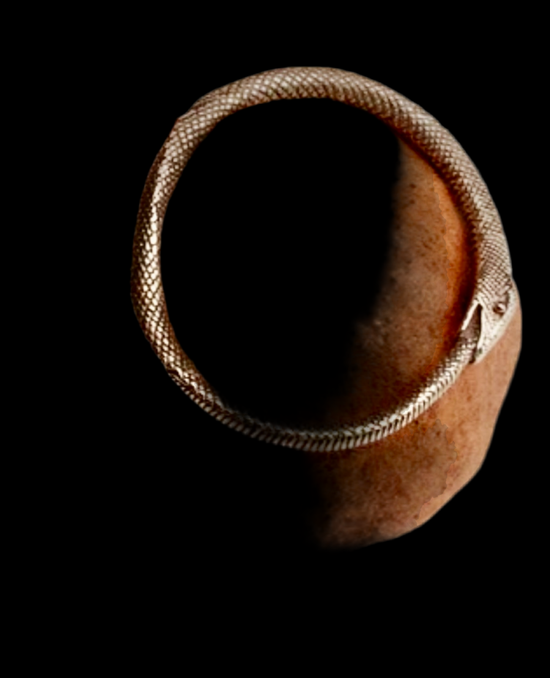 OUROBOROS Bangle Sterling Silver/Gold Eyes